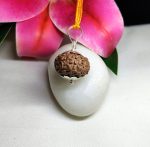 10 Mukhi Rudraksha