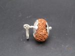 10 Mukhi lab Rudraksha