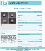 11 Mukhi Certificate