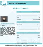 11 Mukhi Certificate