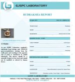 12 Mukhi Certificate