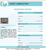 12 Mukhi Certificate