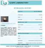 12 Mukhi Certificate