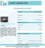 12 Mukhi Certificate