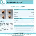 12 Mukhi Certificate