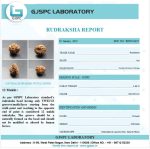 12 Mukhi Certificate