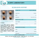 12 Mukhi Certificate