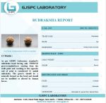 12 Mukhi Certificate