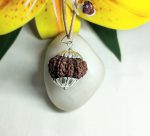 12 Mukhi Rudraksha