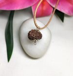 12 Mukhi Rudraksha