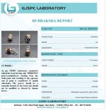 13 Mukhi Certificate