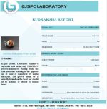 13 Mukhi Certificate