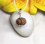 13 Mukhi Rudraksha
