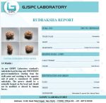 14 Mukhi Certificate