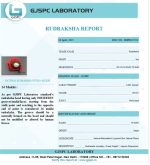 14 Mukhi Certificate