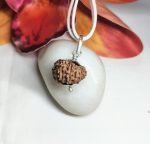 14 Mukhi Rudraksha