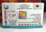 2 Mukhi Certificate