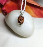 2 Mukhi Rudraksha