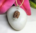 3 Mukhi Rudraksha
