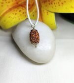 2 Mukhi Rudraksha