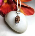 2 Mukhi Rudraksha