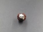 2 Mukhi lab Rudraksha