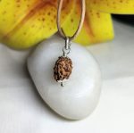 3 Mukhi Rudraksha