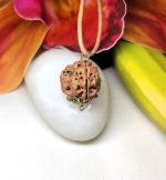 3 Mukhi Rudraksha