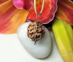 3 Mukhi Rudraksha
