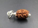 3 Mukhi Rudraksha