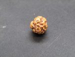 3 Mukhi Rudraksha