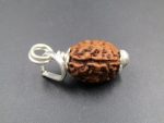 3 Mukhi Rudraksha
