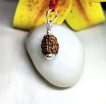 3 Mukhi Rudraksha