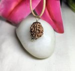 3 Mukhi Rudraksha