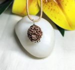 3 Mukhi Rudraksha