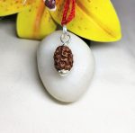 3 Mukhi Rudraksha