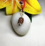 3 Mukhi Rudraksha