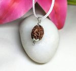 4 Mukhi Rudraksha