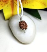 4 Mukhi Rudraksha