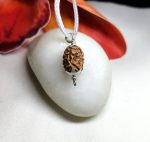 4 Mukhi Rudraksha
