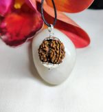 4 Mukhi Rudraksha