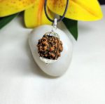 4 Mukhi Rudraksha