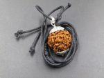 4 Mukhi lab Rudraksha