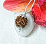 4 Mukhi Rudraksha