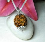 4 Mukhi Rudraksha