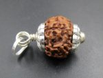 6 Mukhi Rudraksha