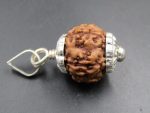 6 Mukhi Rudraksha
