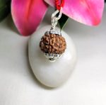 6 Mukhi Rudraksha