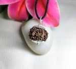 6 Mukhi Rudraksha