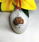 6 Mukhi Rudraksha